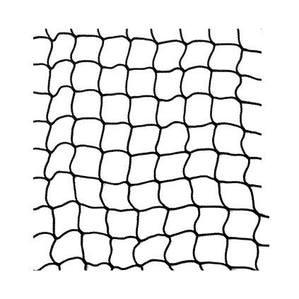 Net